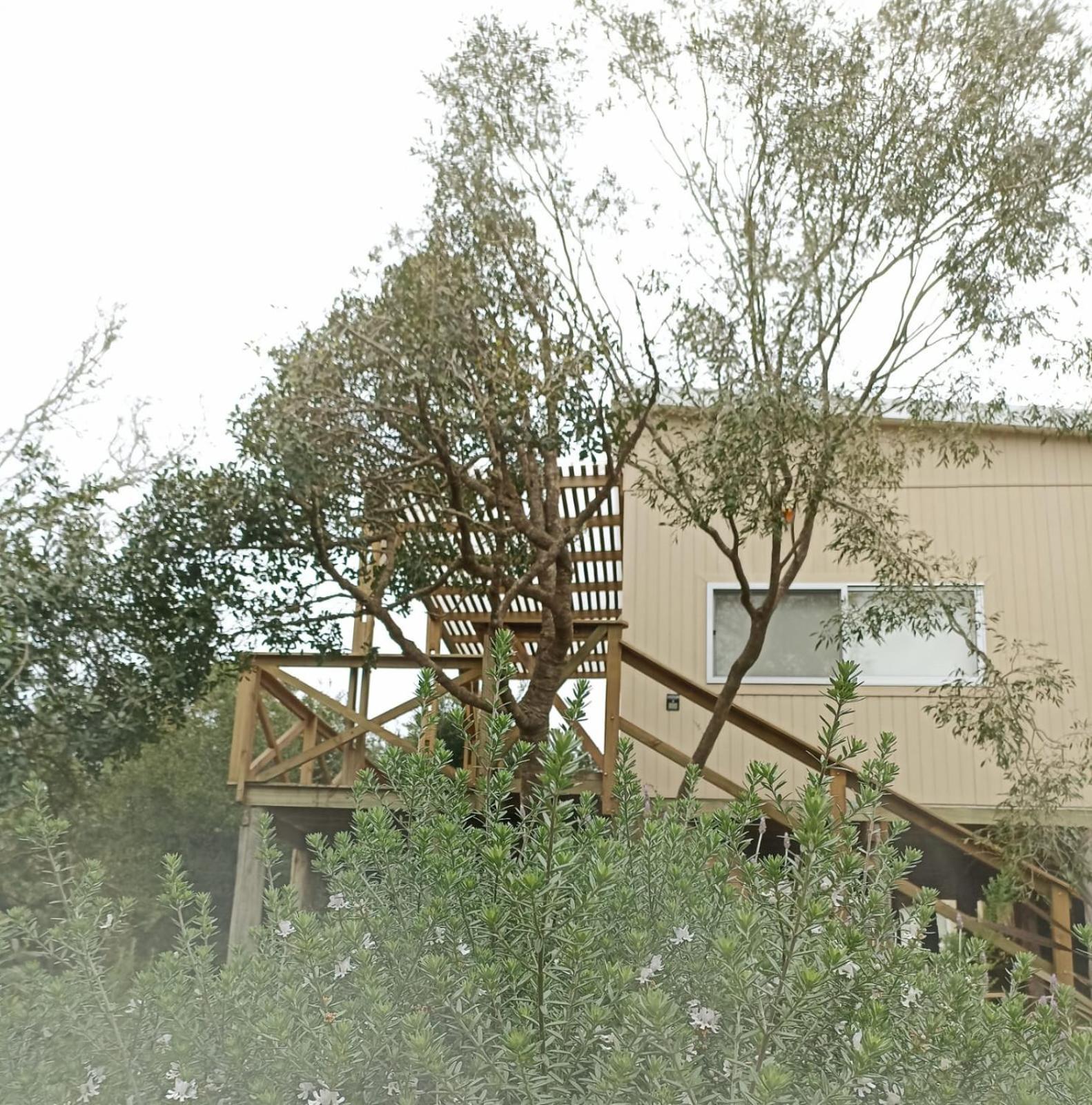 הוילה לה פדררה Nio De Baixo מראה חיצוני תמונה