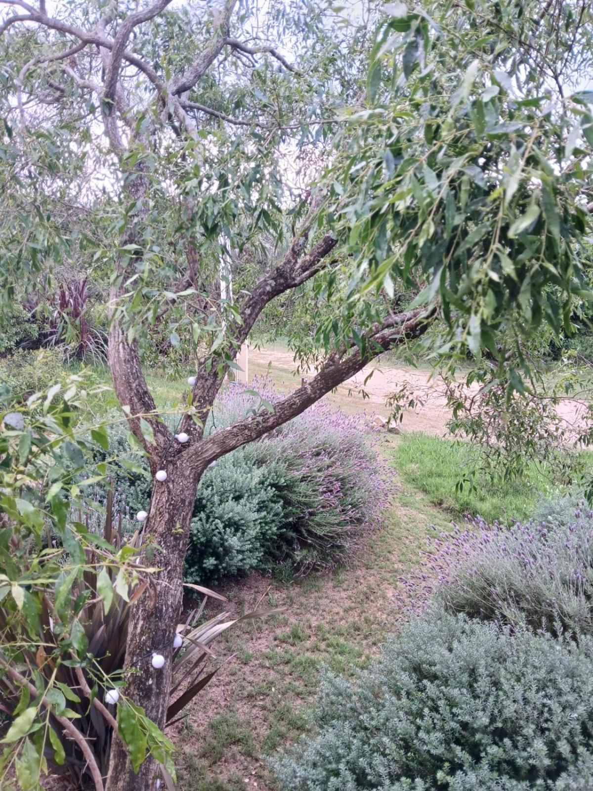 הוילה לה פדררה Nio De Baixo מראה חיצוני תמונה